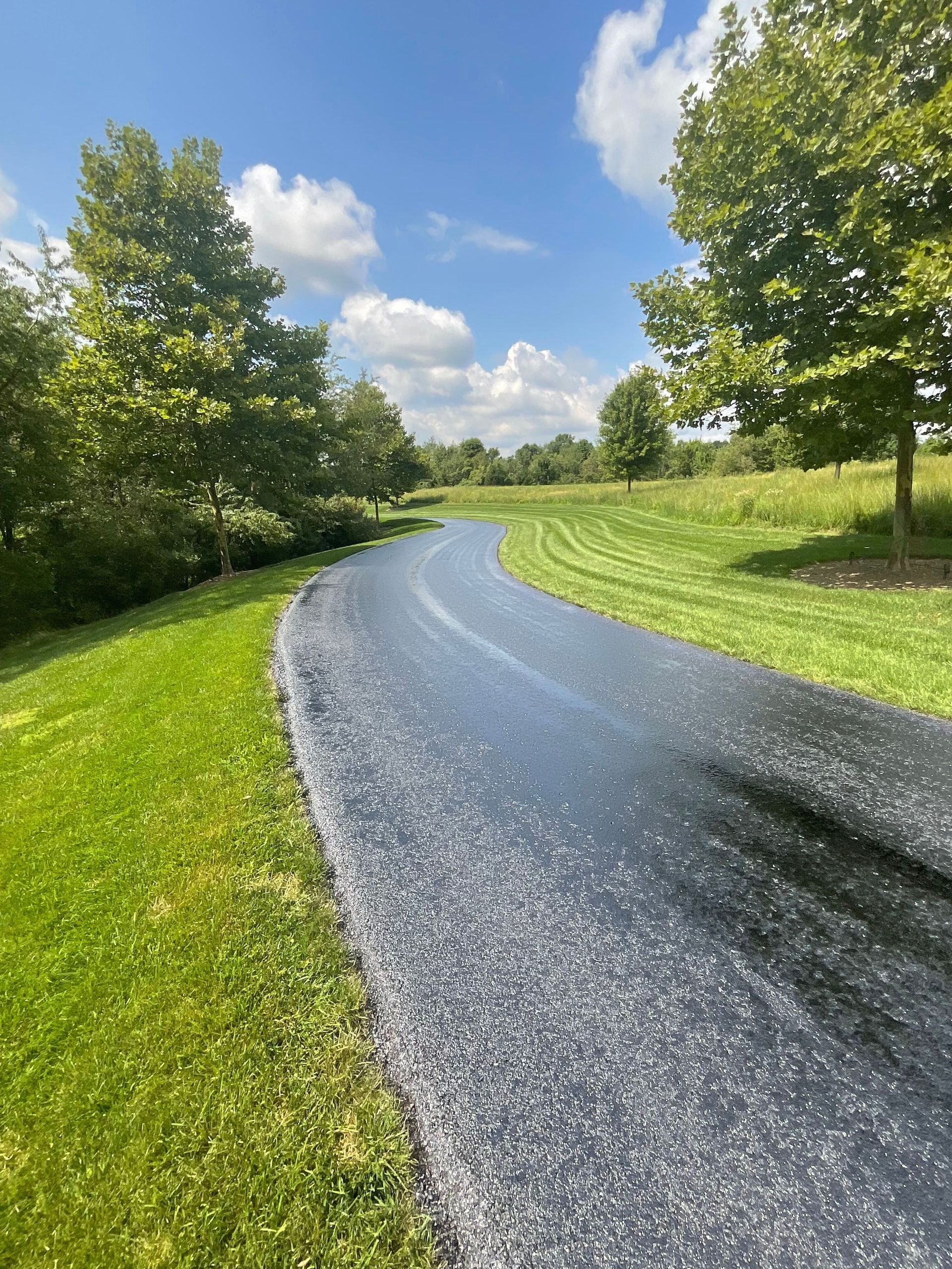 Professional asphalt paving services