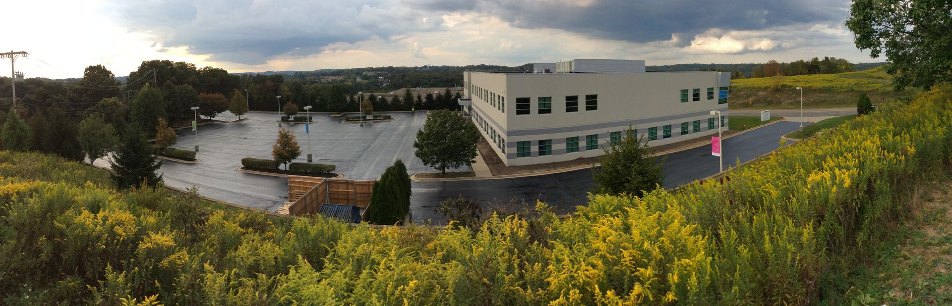 Modern building by a river, framed by yellow flowers and trees under a cloudy sky