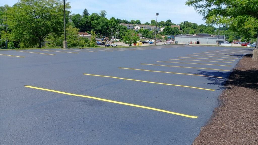 Empty asphalt parking lot with yellow lines beside trees and a road under a clear sky