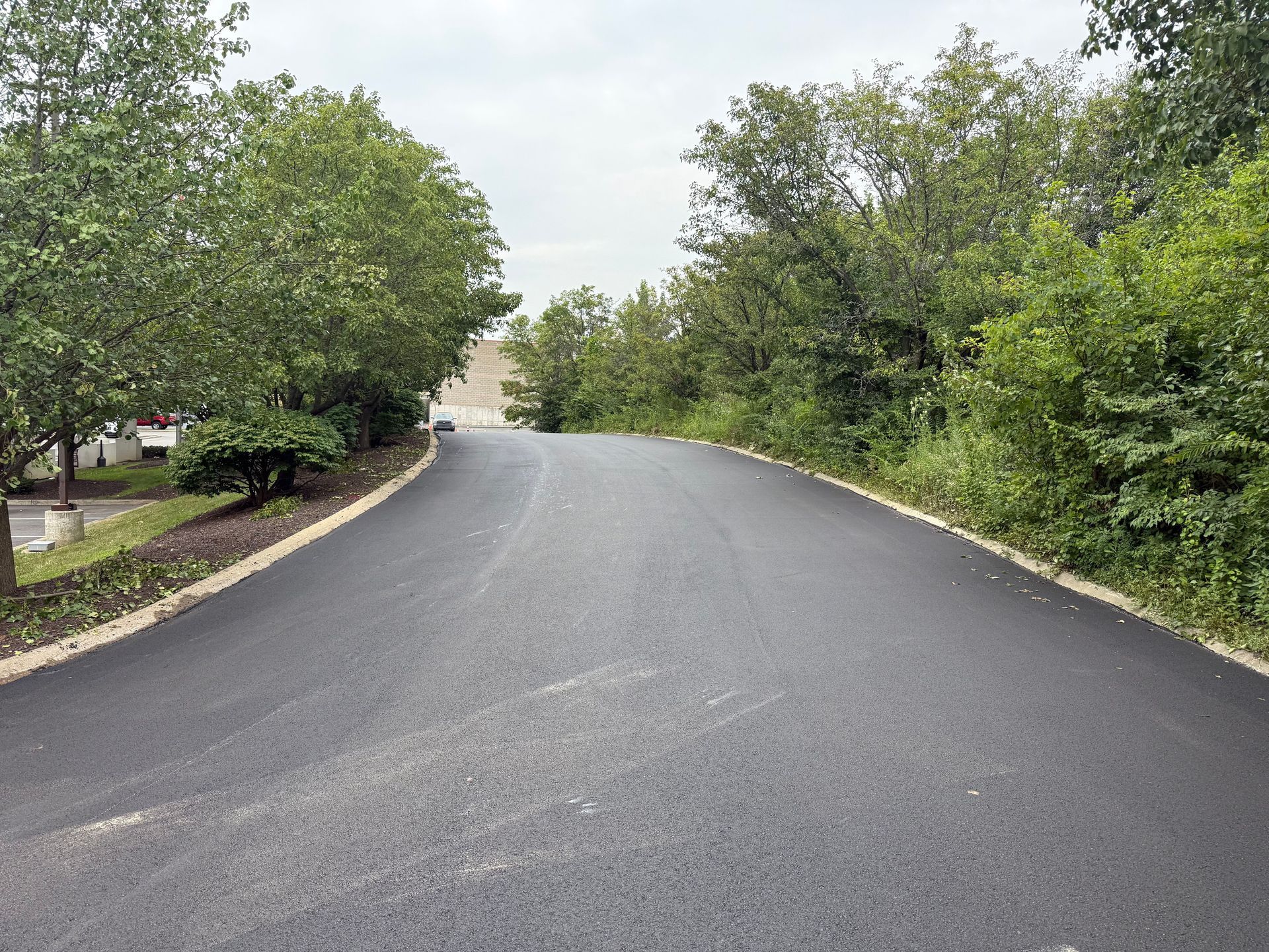 Professional asphalt paving services