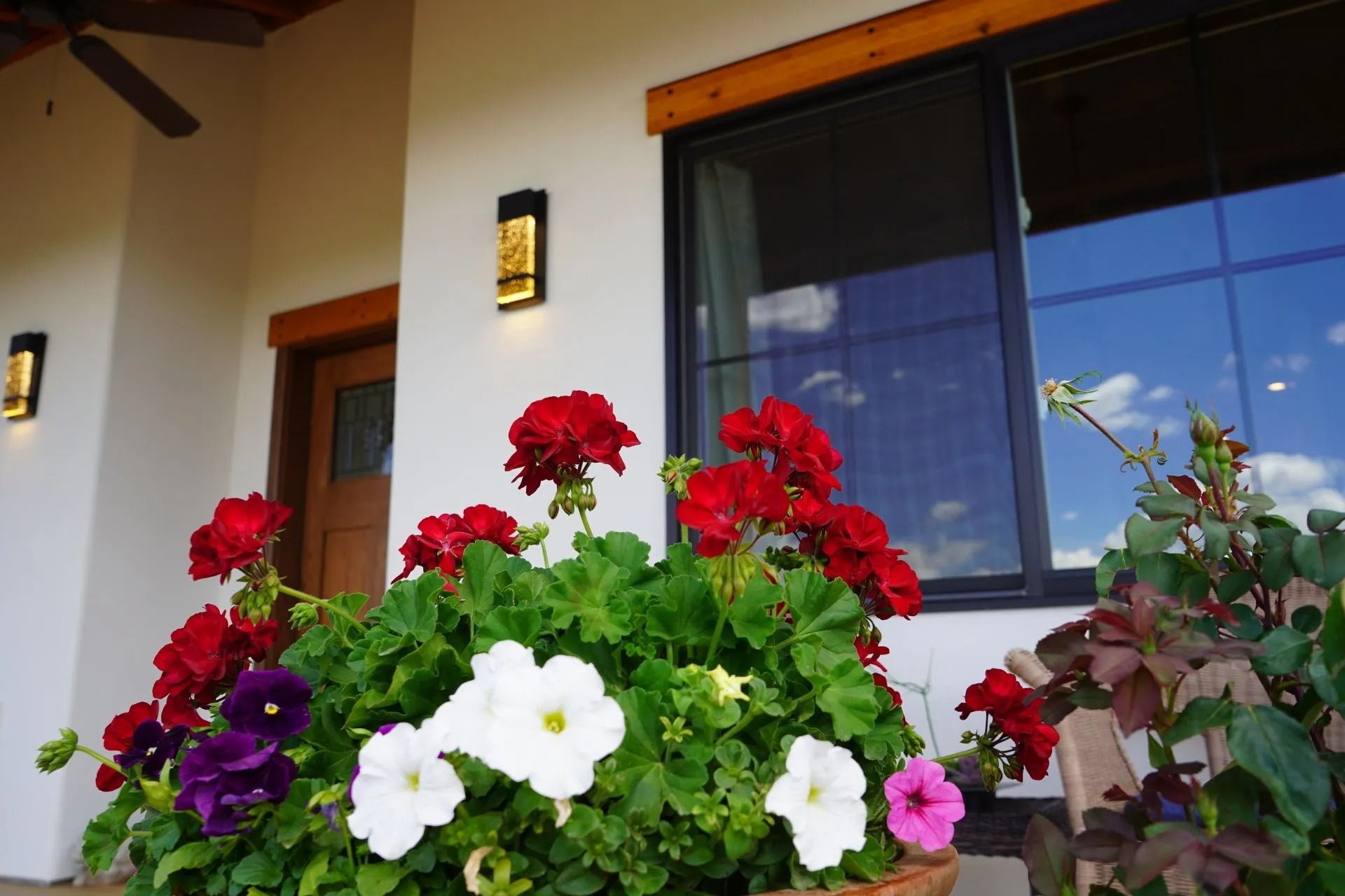 A close-up of vibrant red, white, and purple flowers in a pot, with a stucco porch and window in the background.