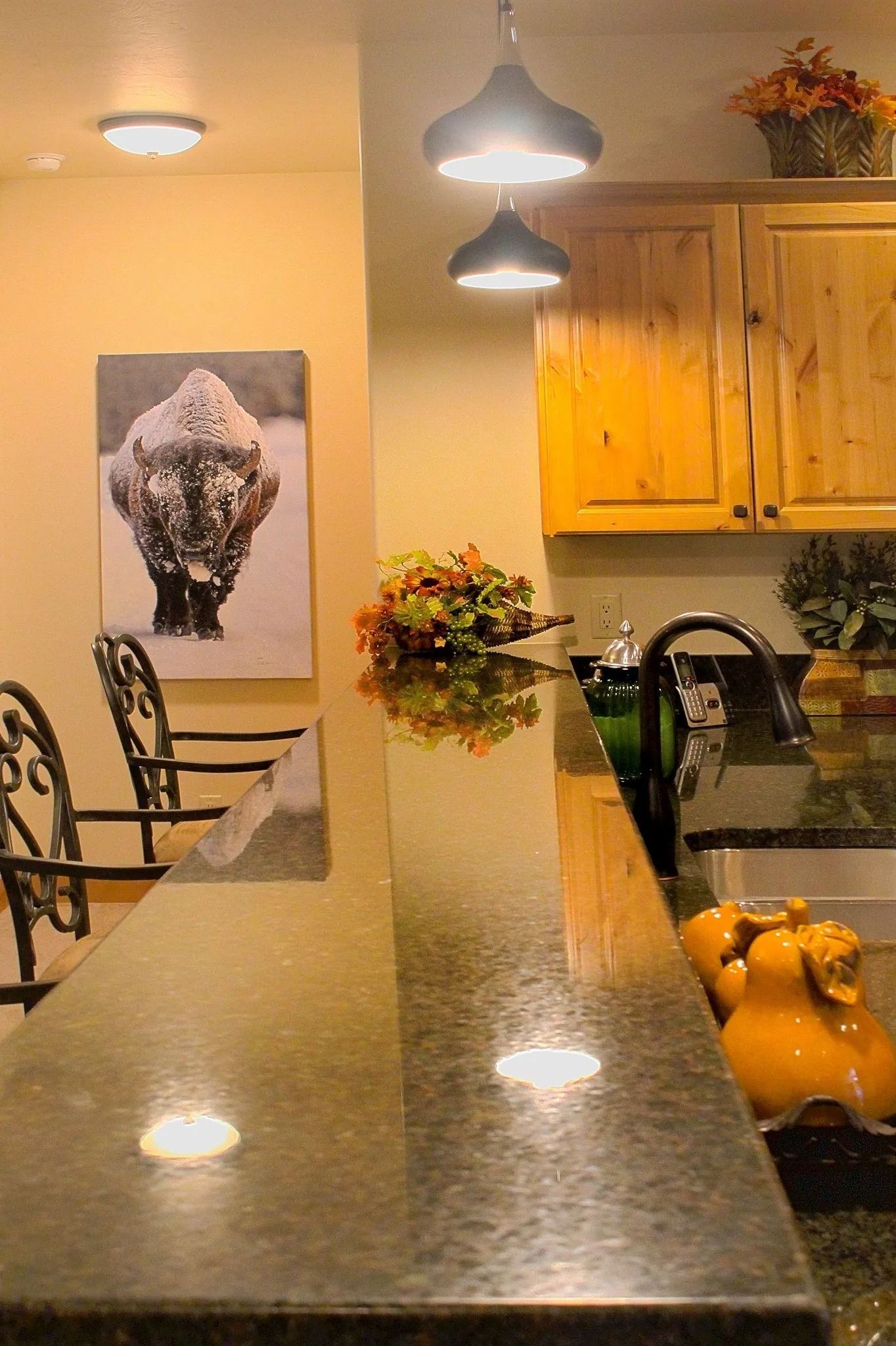 A dark granite kitchen counter extends toward a wall with a buffalo print, two metal chairs, and wood cabinetry above.