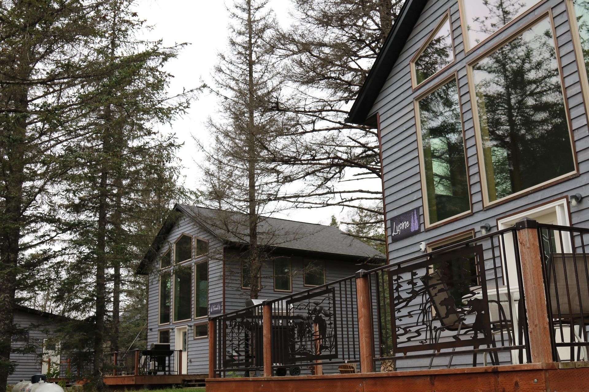 Gray cabins with large windows and wooden decks among tall trees.