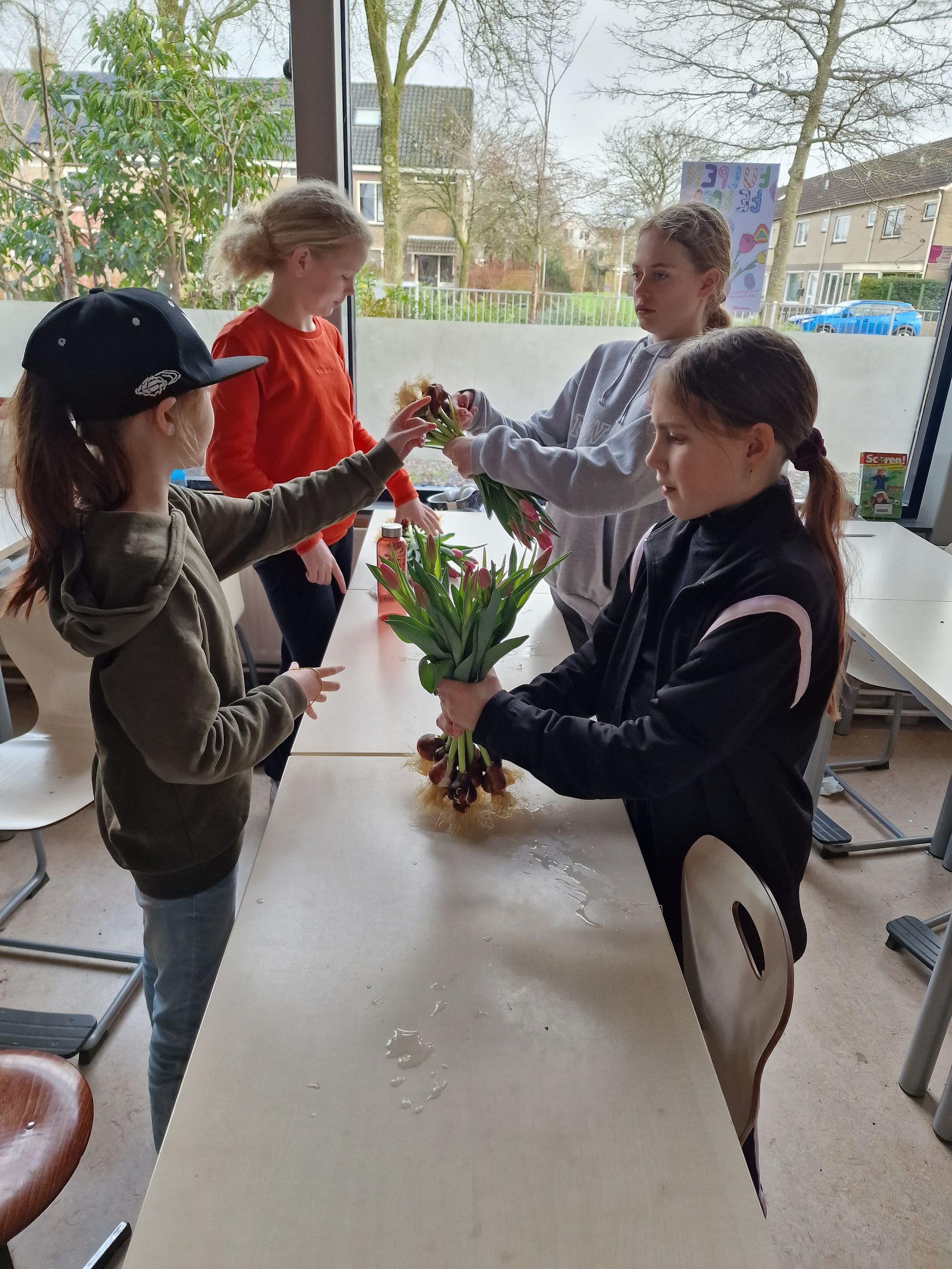 OBS de Adelaar
