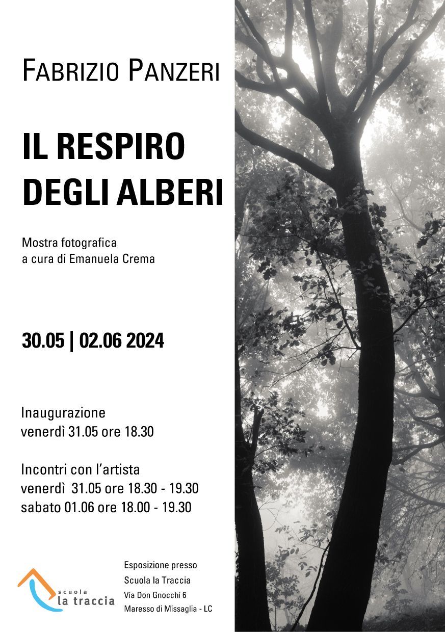 FABRIZIO PANZERI - IL RESPIRO DEGLI ALBERI