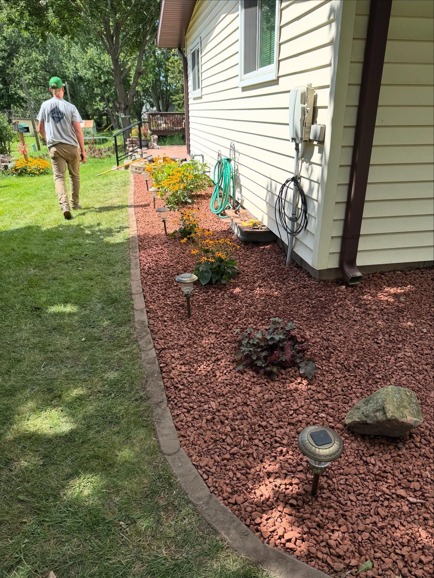 Person walking on a lawn beside a house with a red rock flower bed and potted plants