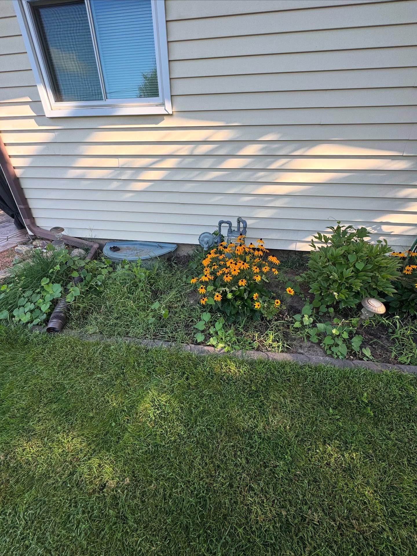 House siding with a window above a small flower bed of orange blooms beside a green lawn