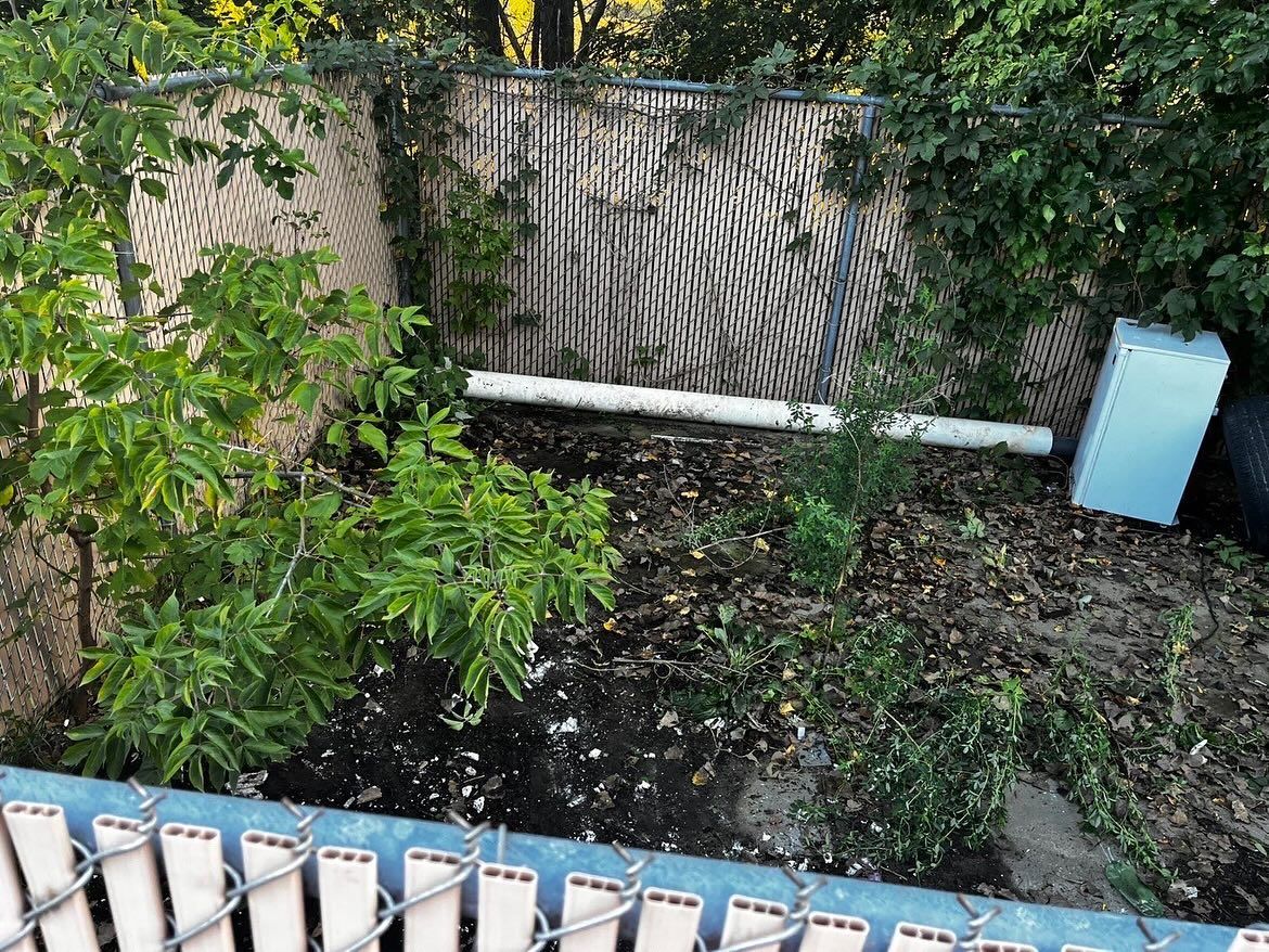 Backyard fence with a white pipe, greenery, and a blue bin beside a mesh screen