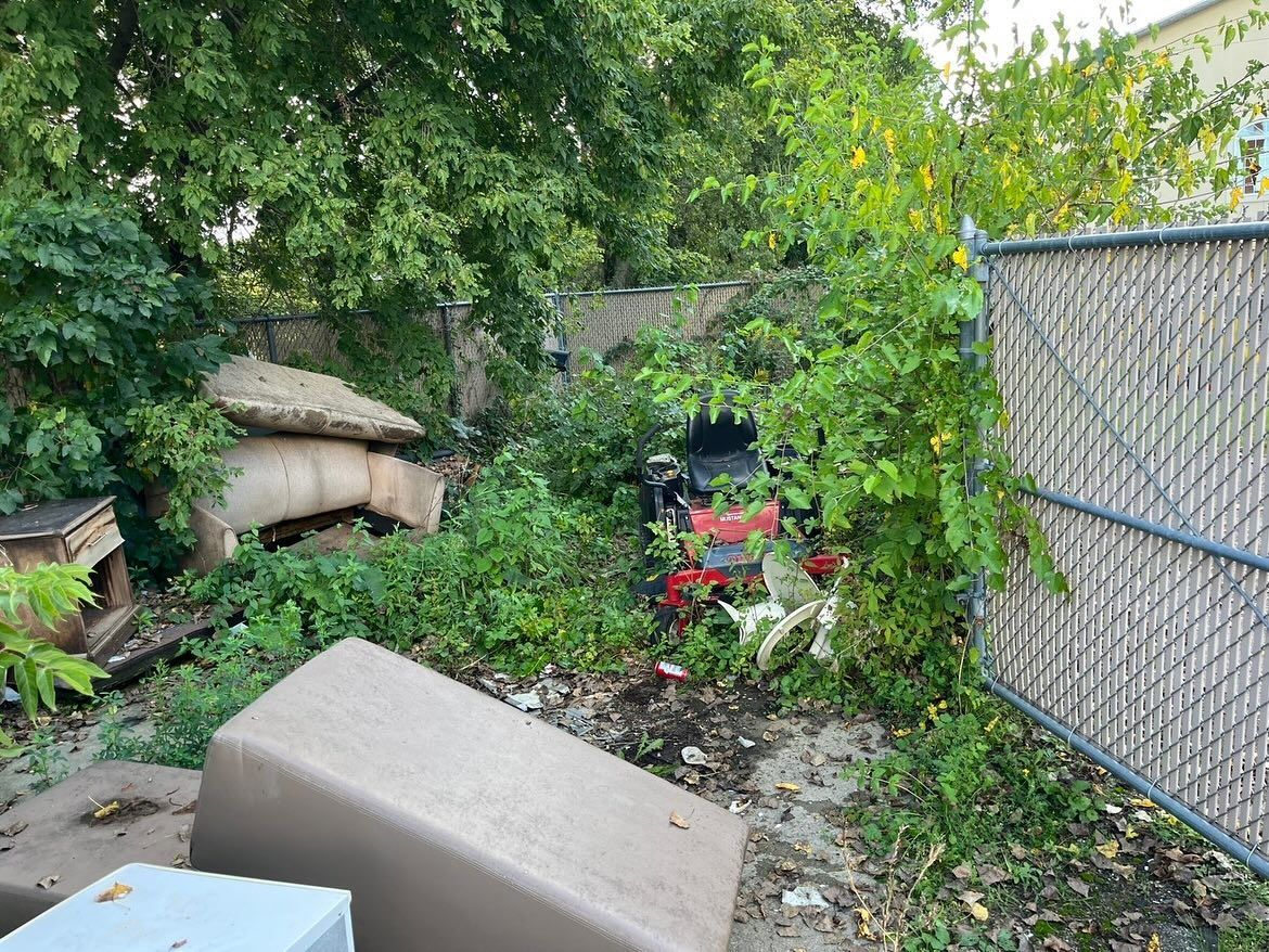 Overgrown backyard with chain-link fence, discarded mattress, and scattered debris among trees and bushes