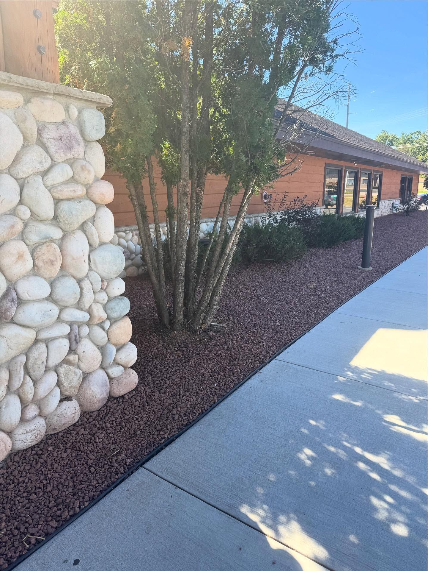 Sidewalk beside a stone wall, young trees, and a brick building on a sunny day.