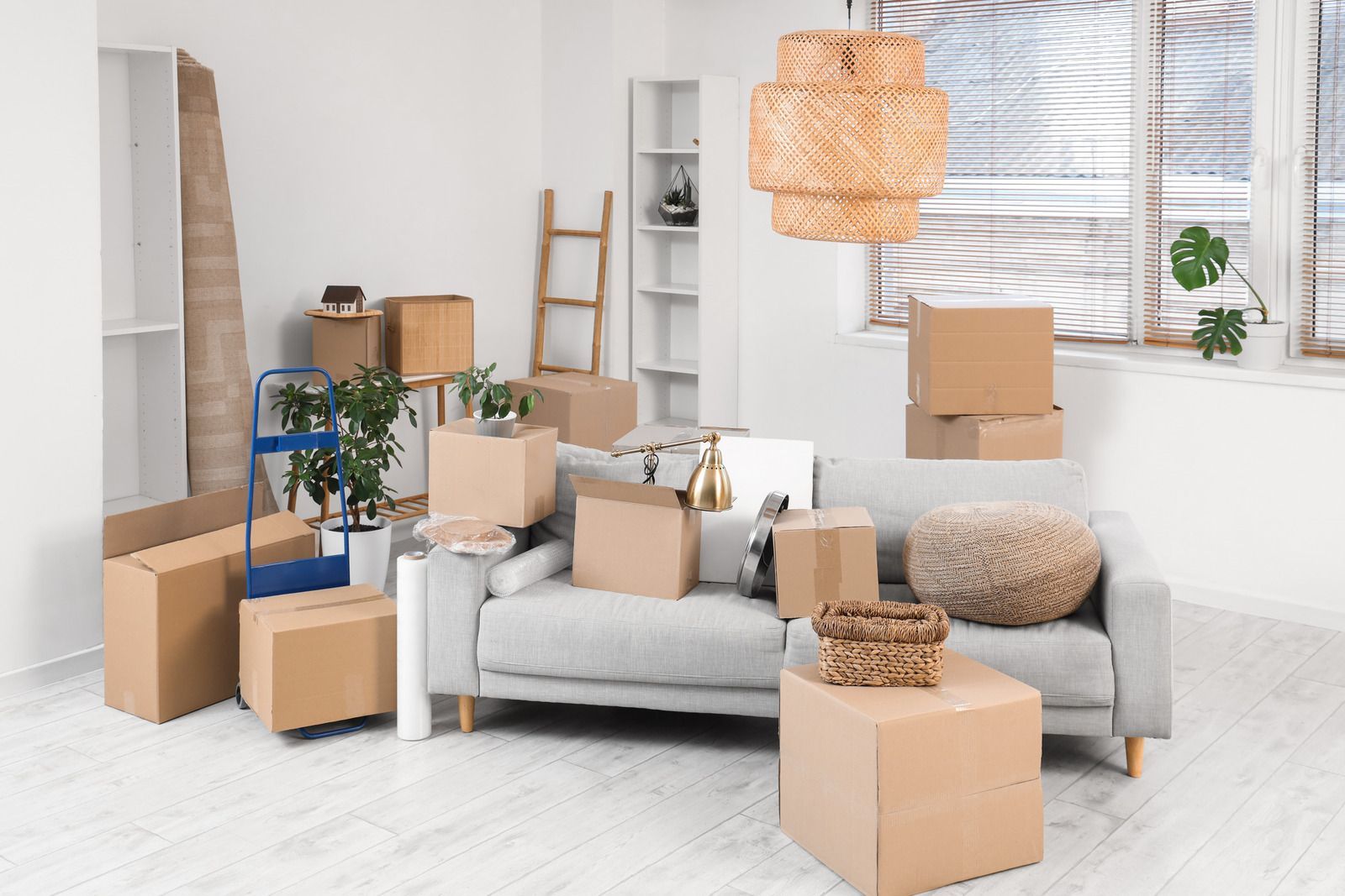 Unpacked living room with sofa, cardboard boxes, plants, and a woven pendant light