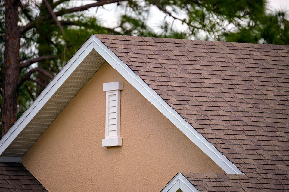 shingle roof