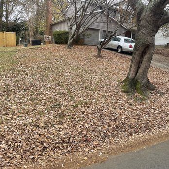 A car is parked in a driveway next to a tree covered in leaves.