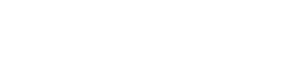 BARON Management Logo