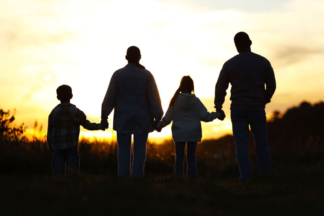 A family silhouette holds hands while standing in a field against a bright, warm sunset.