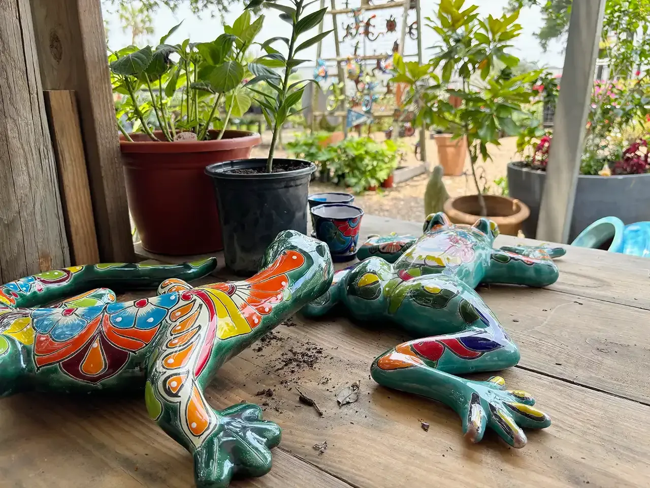 Colorful ceramic frog statues on a wooden table, with potted plants in the background.