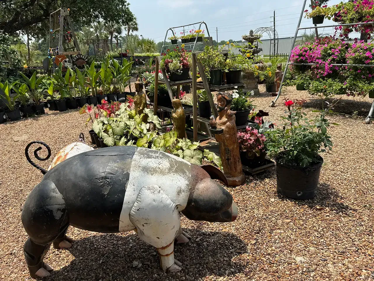 Pig sculpture in a garden center among potted plants and flowers on gravel
