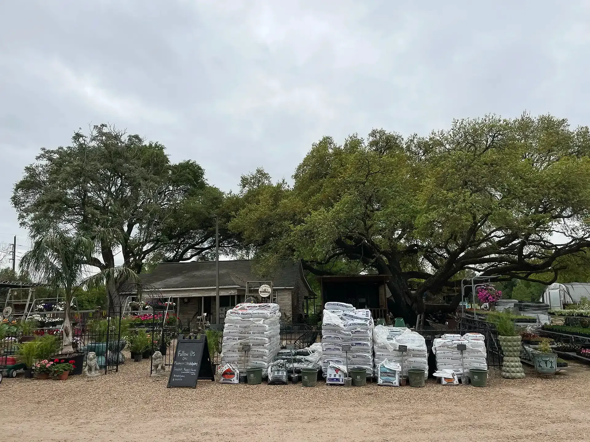 Outdoor plant market with stacks of potted plants and trees under cloudy skies