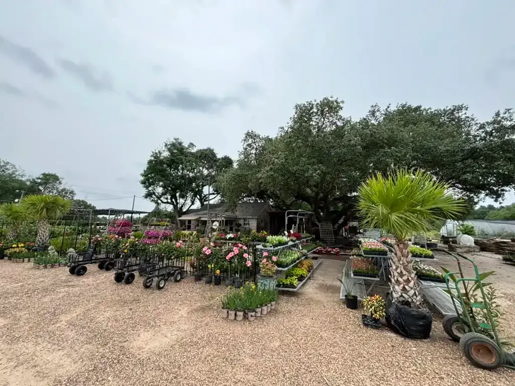 A garden center with plants on display under a cloudy sky near a body of water.