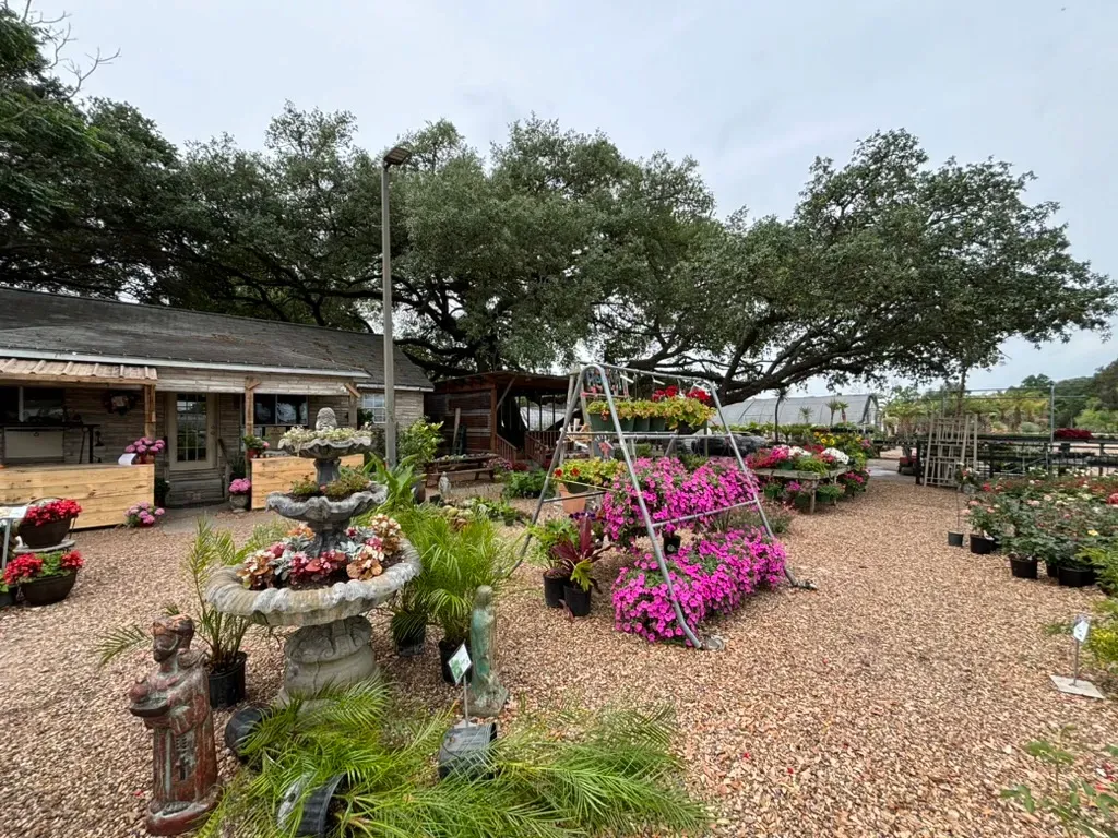 Garden center with colorful potted flowers, gravel paths, and trees under an overcast sky