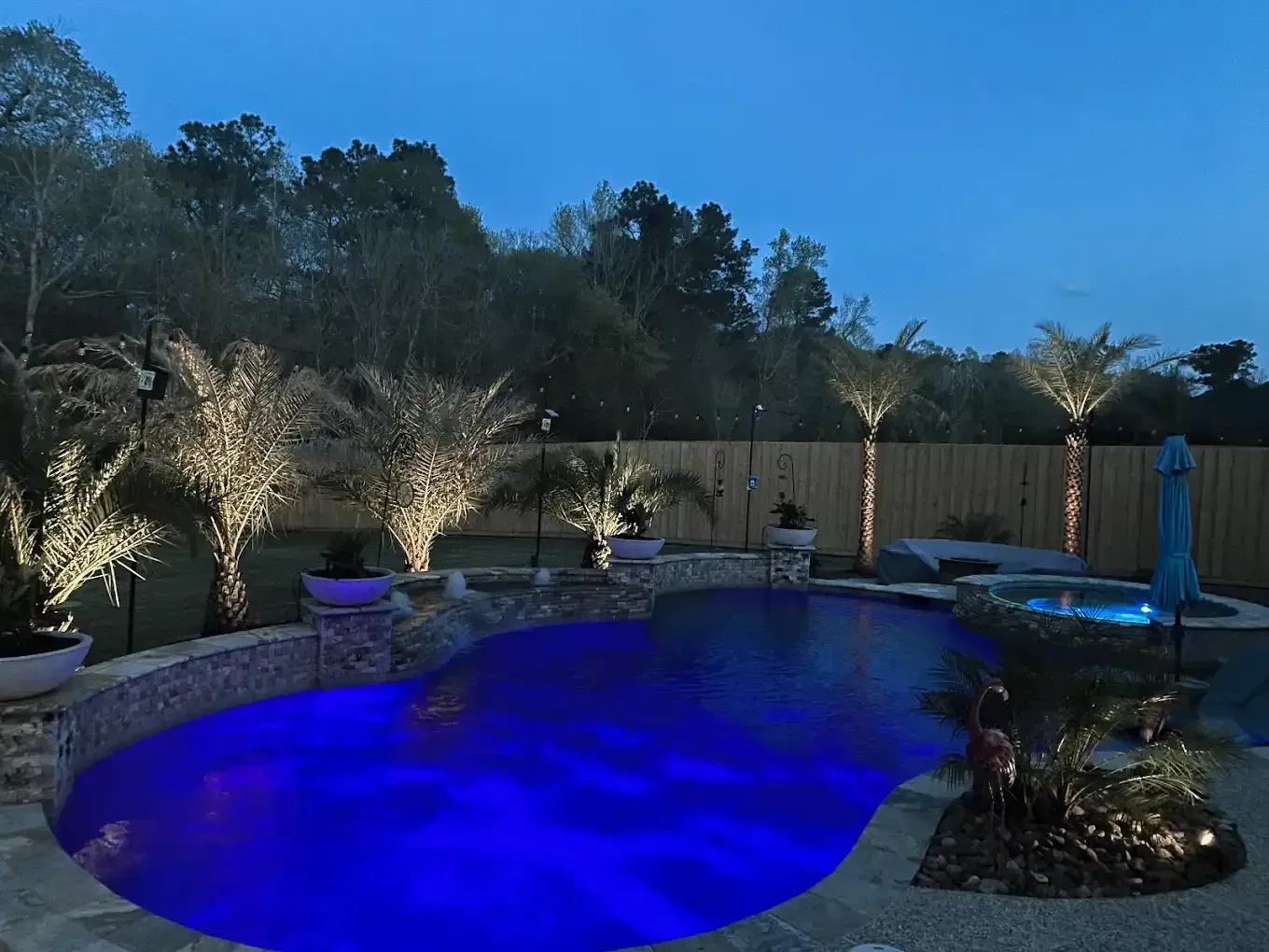 Nighttime view of a backyard pool illuminated with blue lights, palm trees, and landscape lighting.