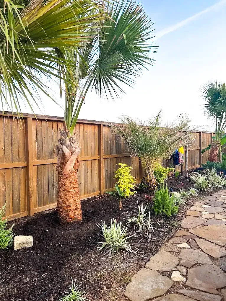 Palm tree and other plants in front of a wooden fence with stone pathway.