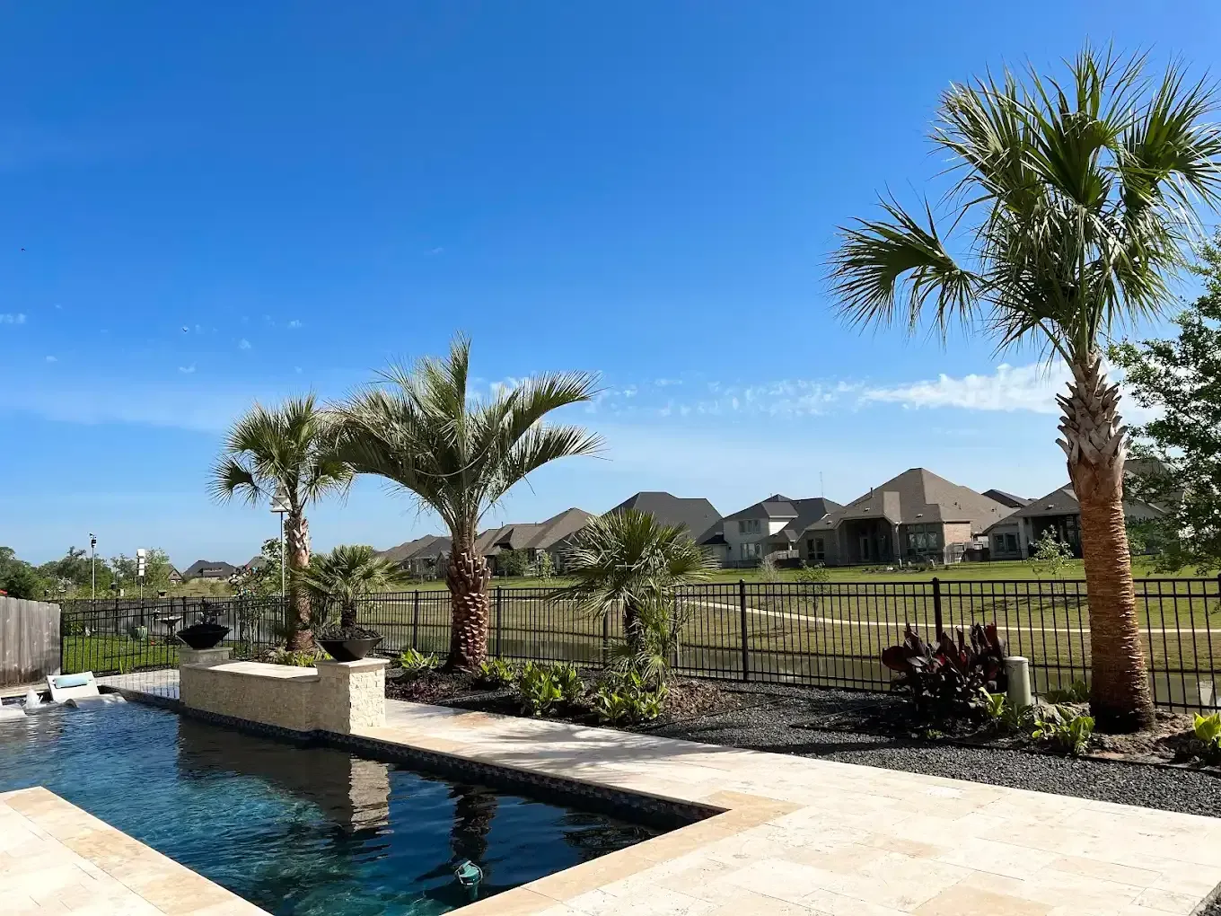 Poolside view with palm trees, blue sky, and houses in the background.