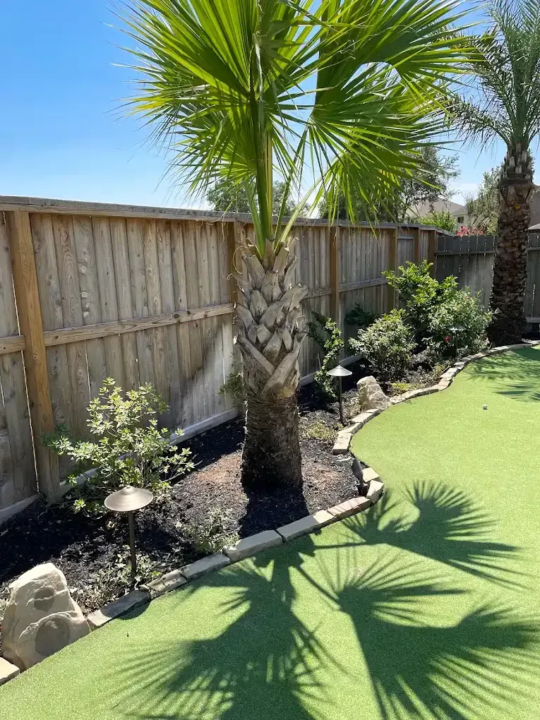 Palm trees next to a wooden fence, with artificial turf in a backyard on a sunny day.