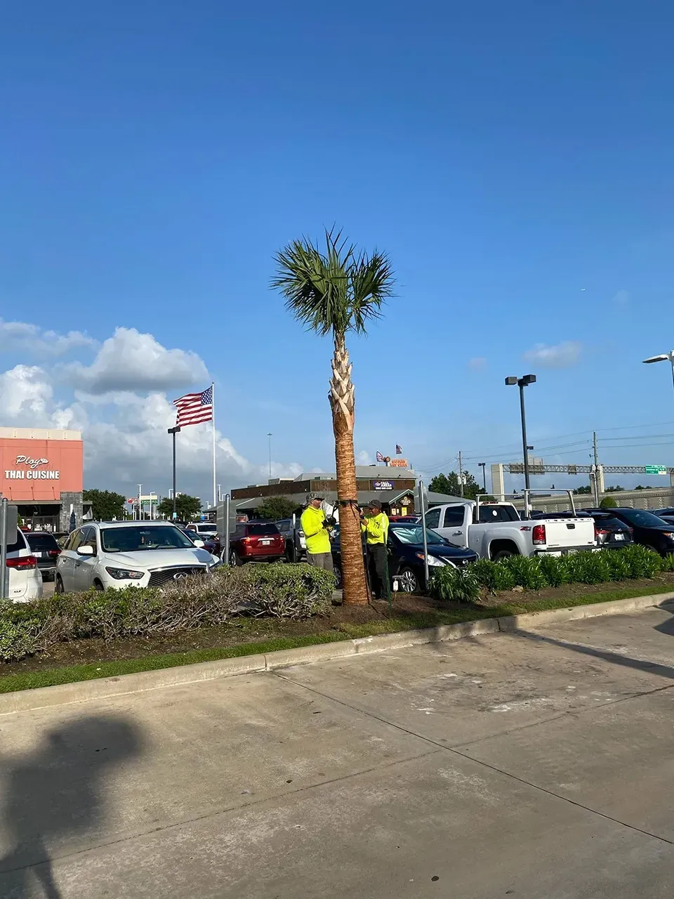 Parking lot with a tall palm tree, American flag, and parked cars under a clear blue sky.