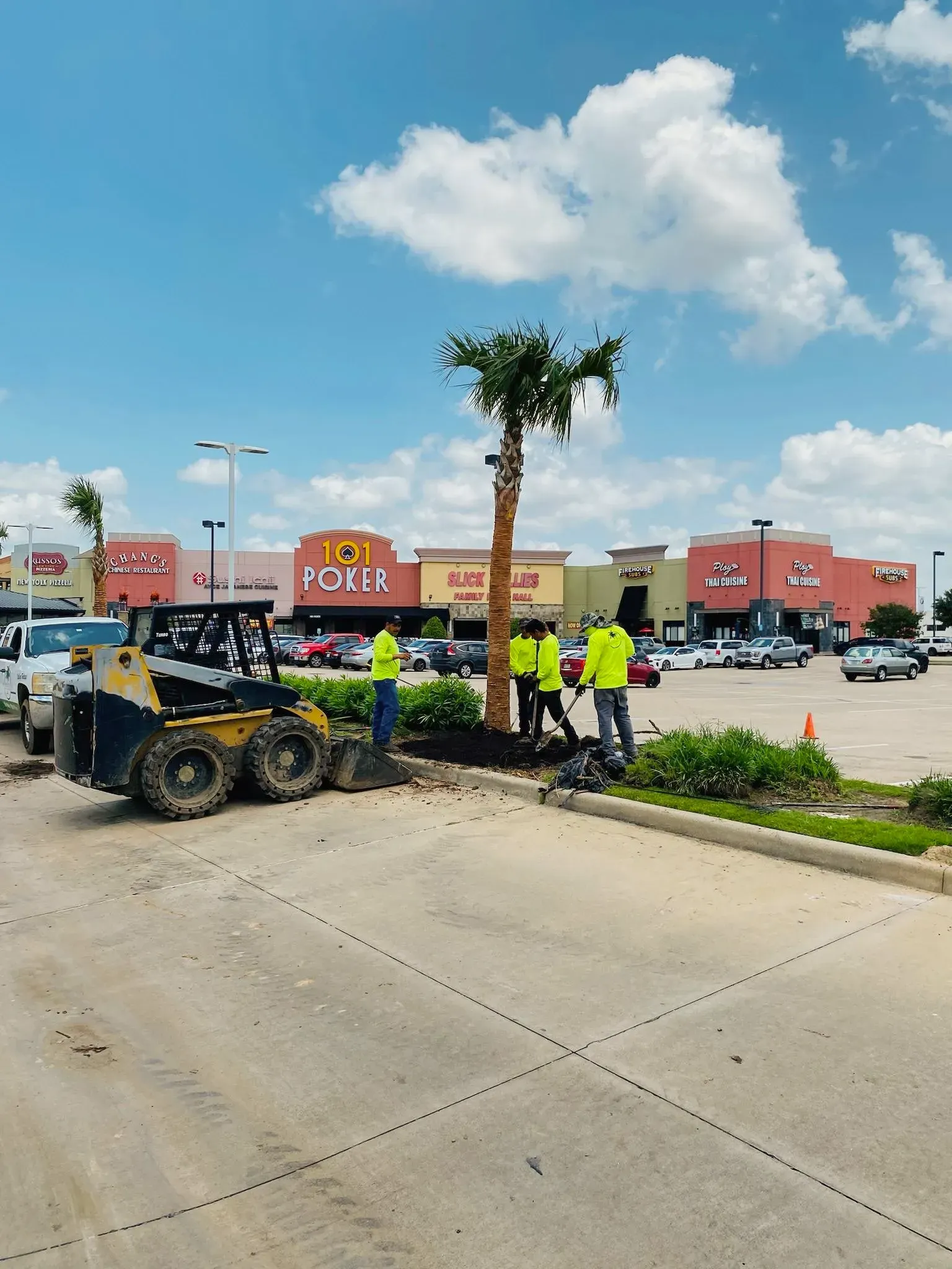 Workers with a backhoe plant a palm tree in a shopping center parking lot under a blue sky.