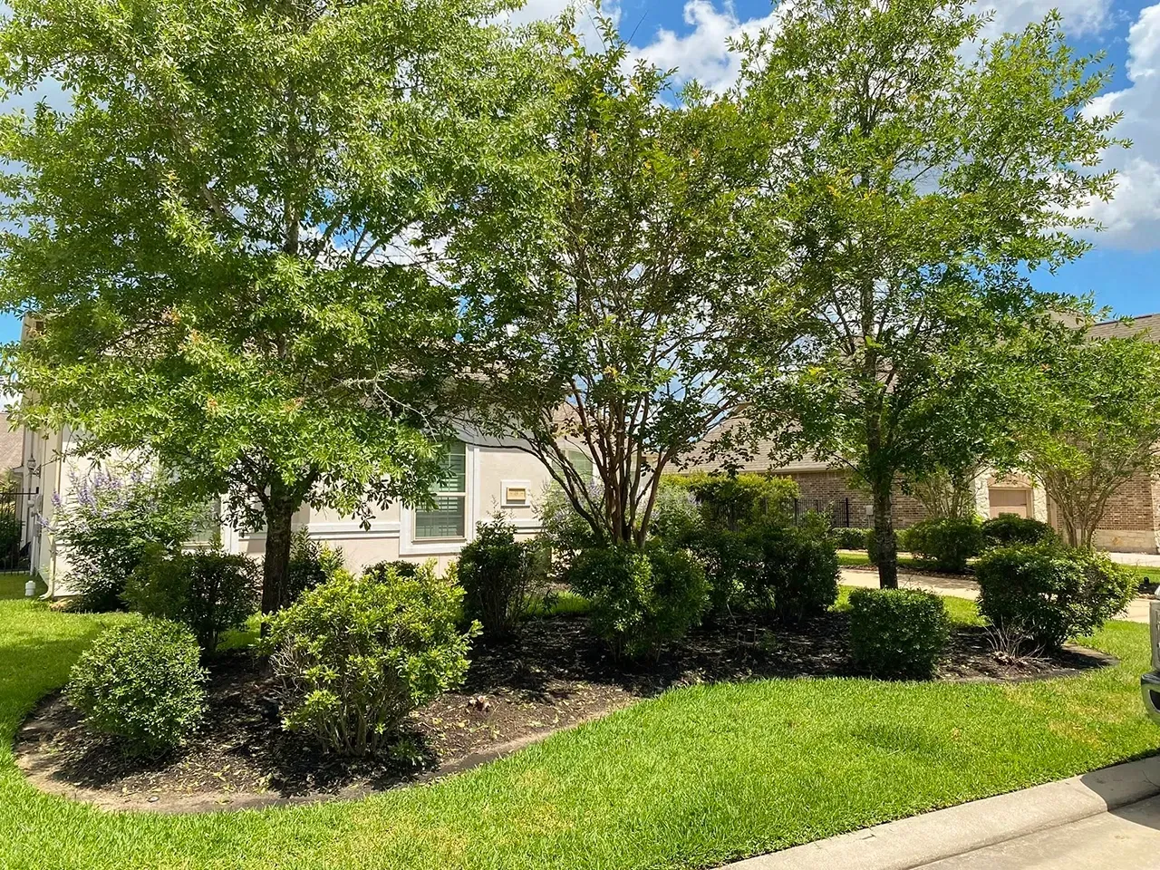 Front yard with lush green trees, shrubs, and lawn in front of a house on a sunny day