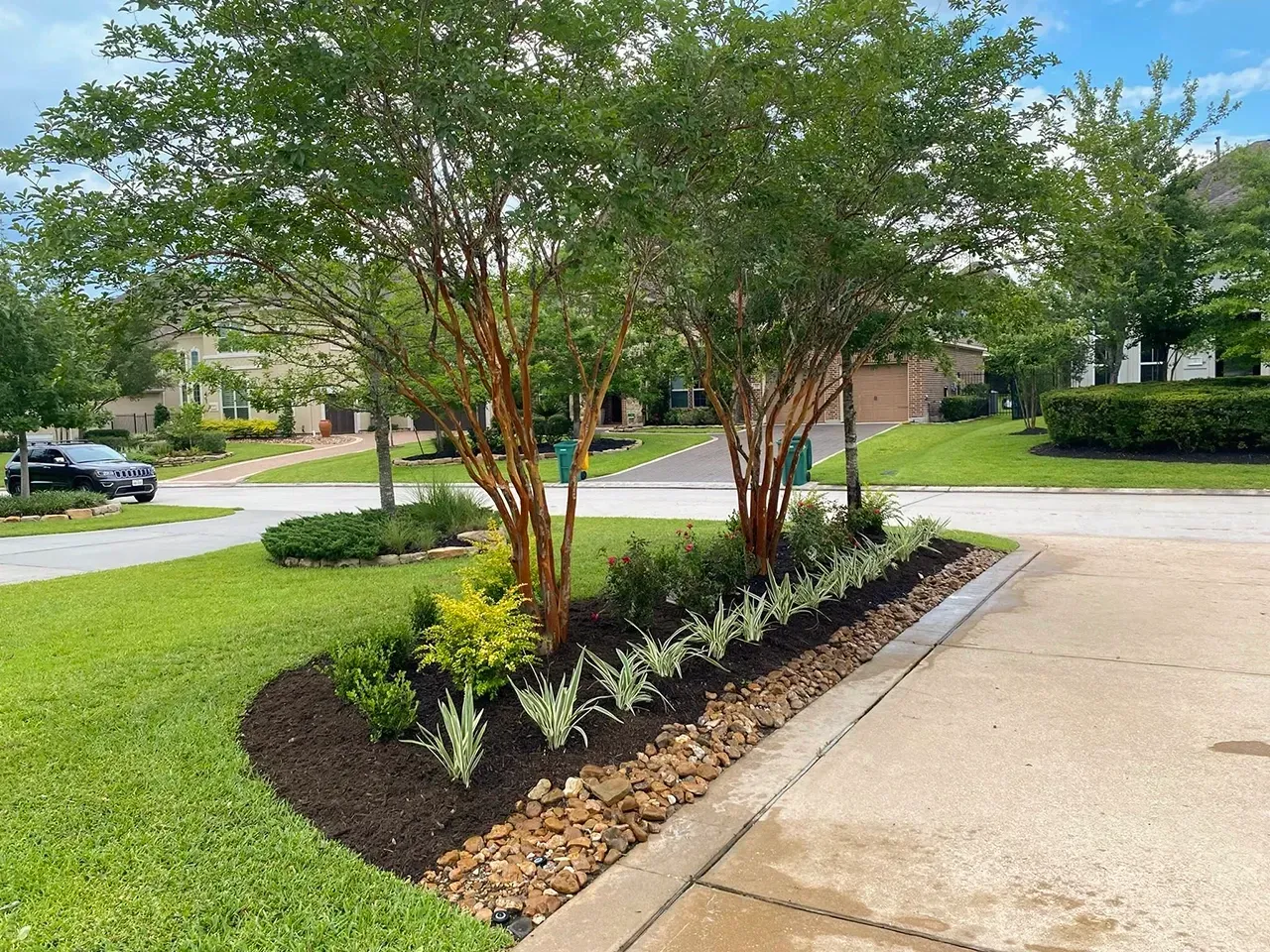 Landscaped island with young trees and mulch beside a driveway in a suburban neighborhood