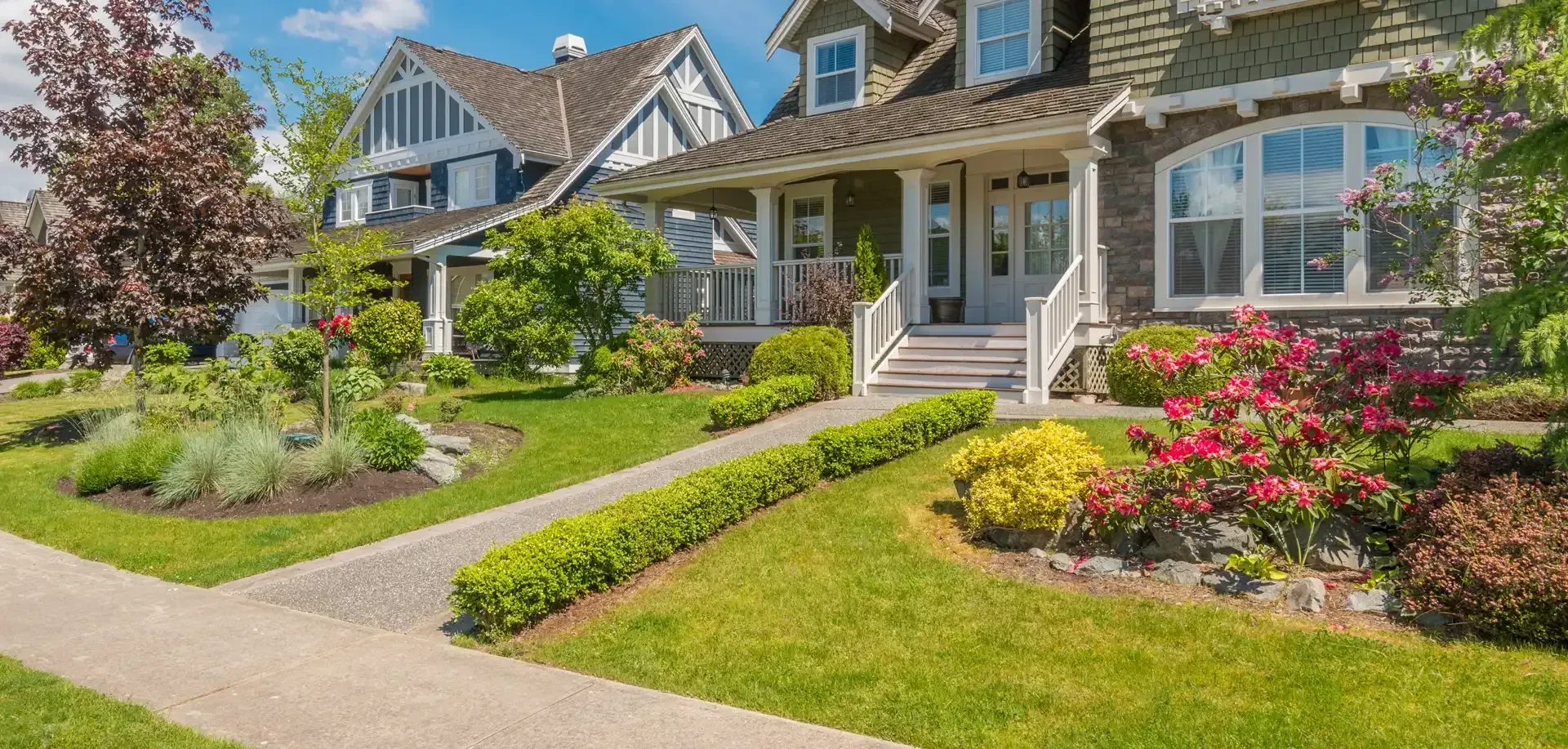 The Best Native Plants for Houston Landscaping post blog image