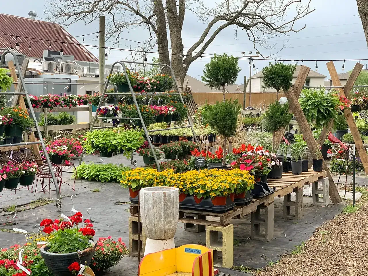 Outdoor flower market with colorful potted blooms displayed on wooden pallets under trees