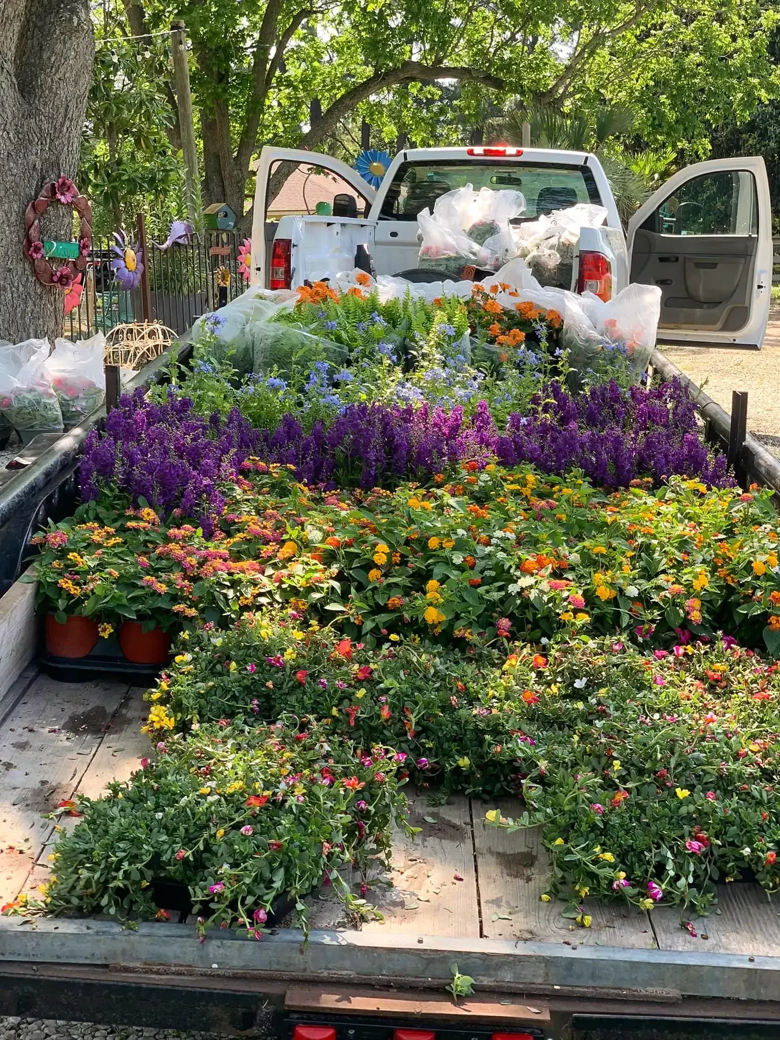 A truck bed overflowing with colorful potted flowers, parked in a shady outdoor area.