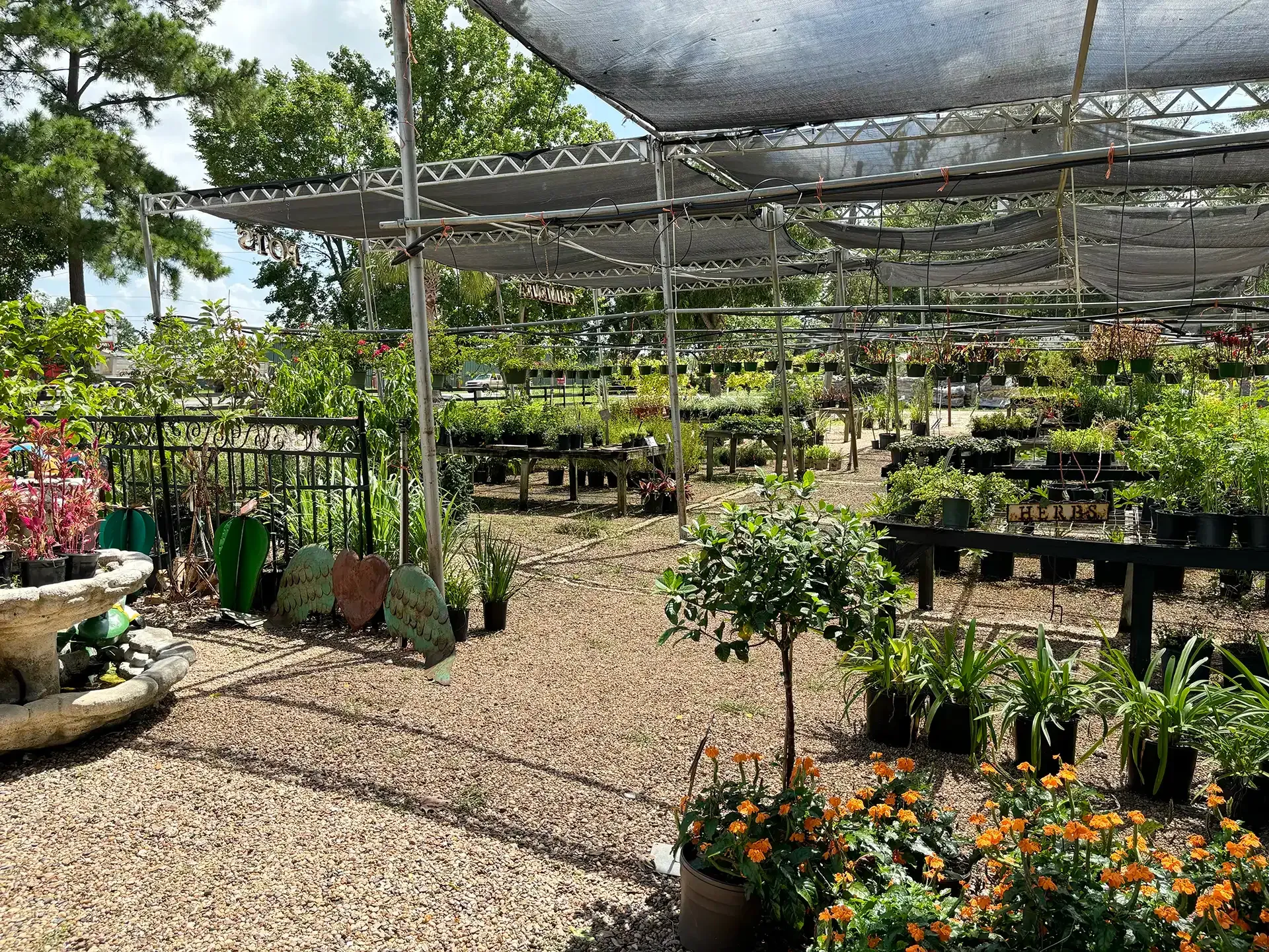 Outdoor plant nursery with potted flowers and saplings under shade netting