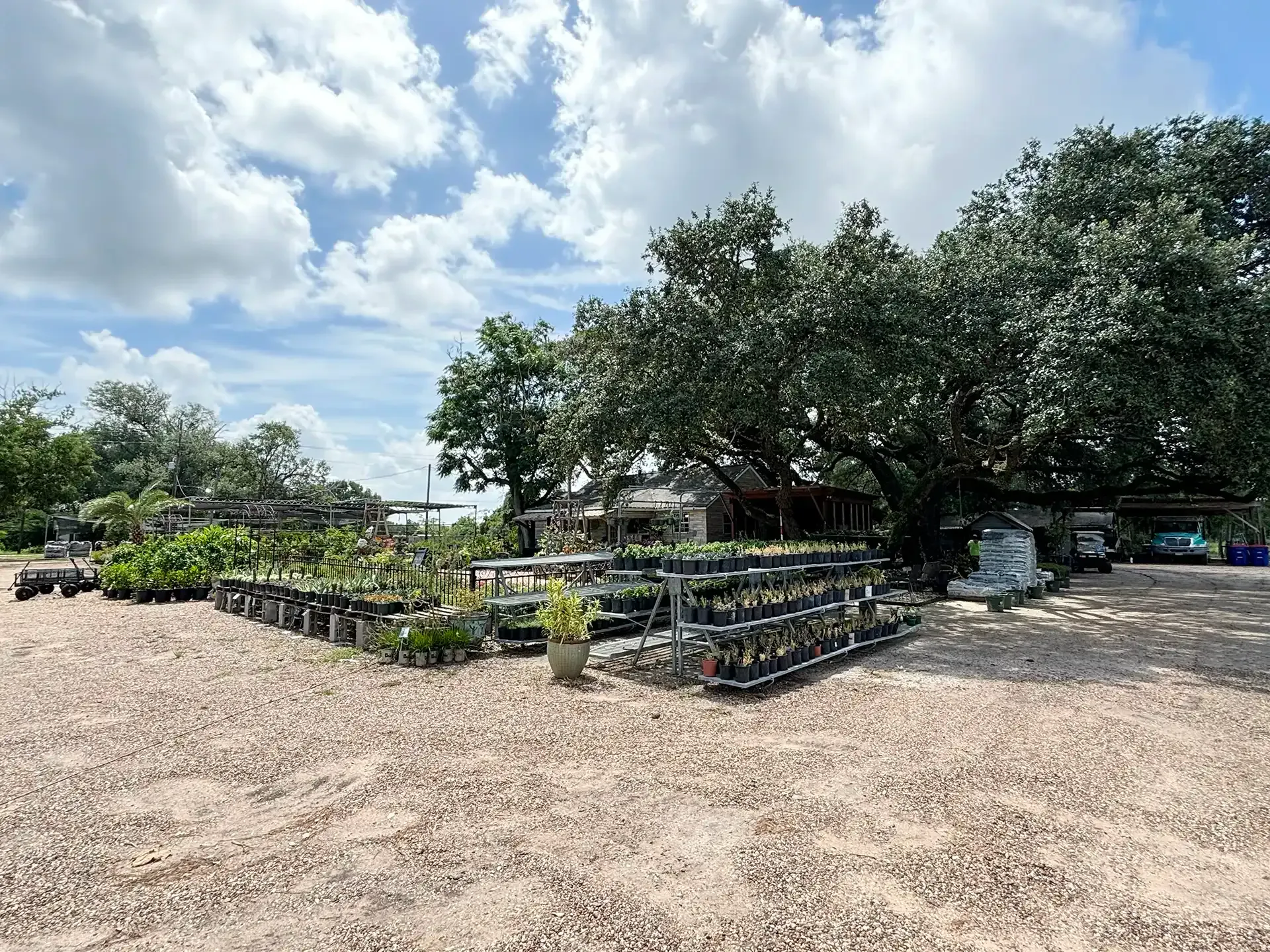 Outdoor plant nursery with rows of potted plants and trees on a gravel lot under a partly cloudy sky