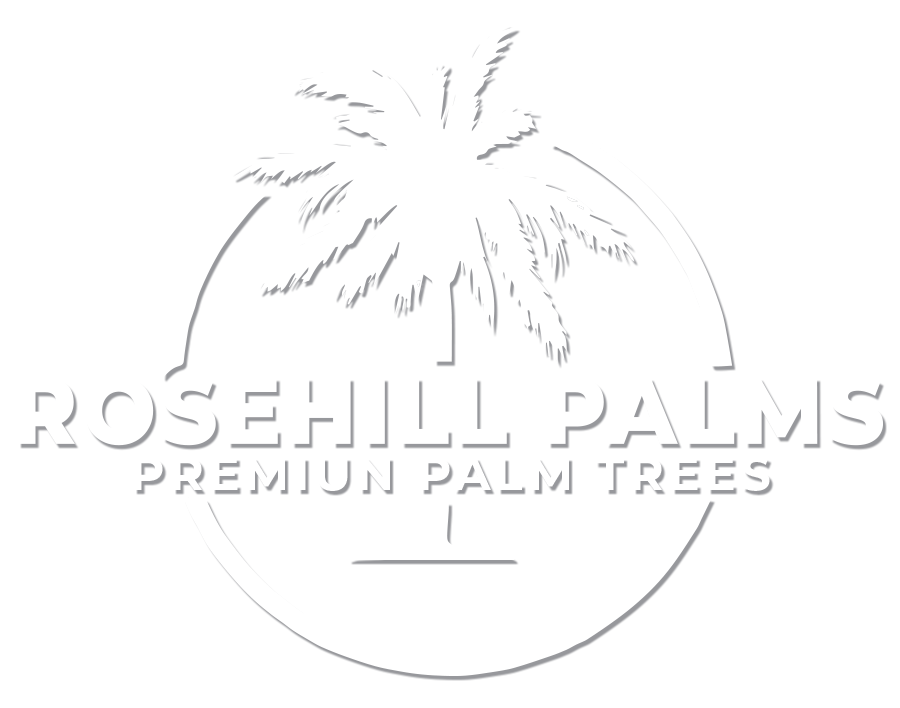 Rosehill Palms Premium Palm Trees white logo