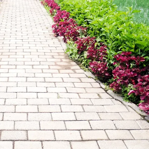 Brick pathway bordered by red and green plants.