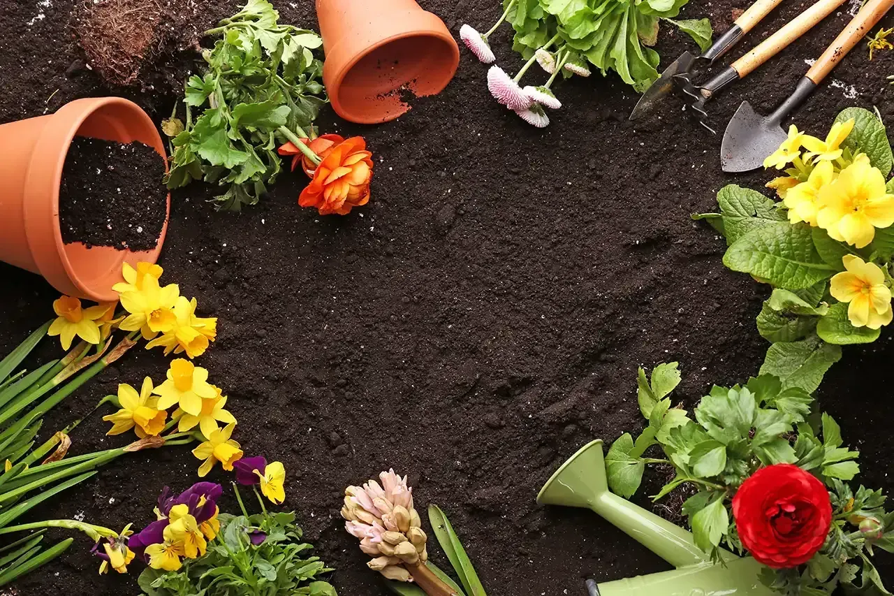 Prepare Your Landscape for Fall post image