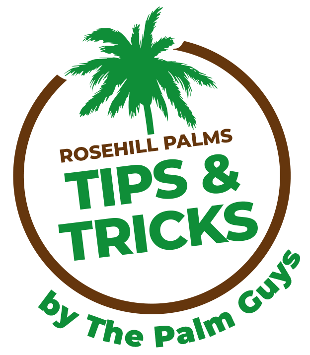 Rosehill Palms Tips & Tricks logo