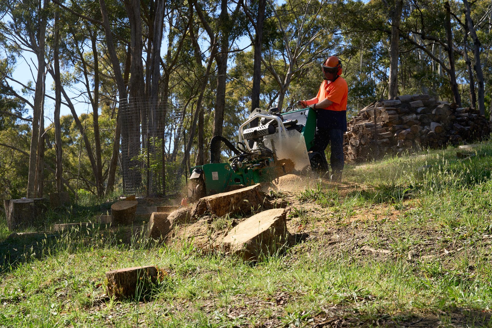Person in orange shirt operating a wood chipper in a wooded yard, with logs and wood chips nearby Person in orange shirt operating a wood chipper in a wooded yard, with logs and wood chips nearby