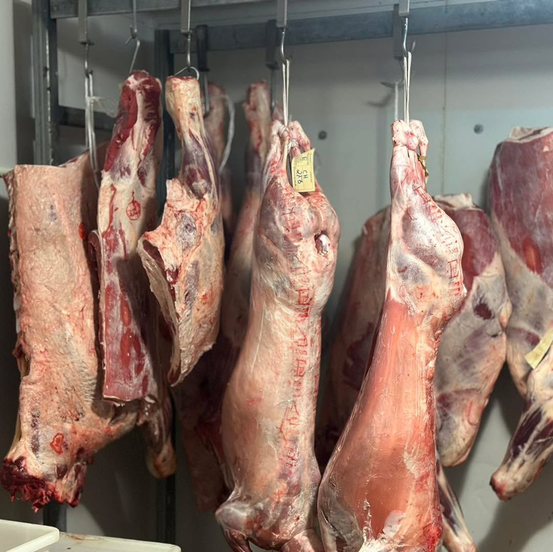 Carcasses of meat hanging on hooks inside a refrigerated storage area, showing cuts of red meat.