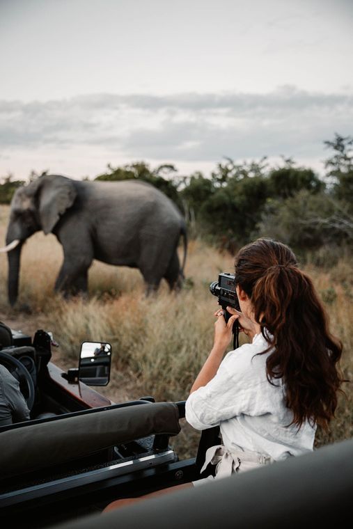 WhirlAway Travel - Kenya Luxury Travel Advisors