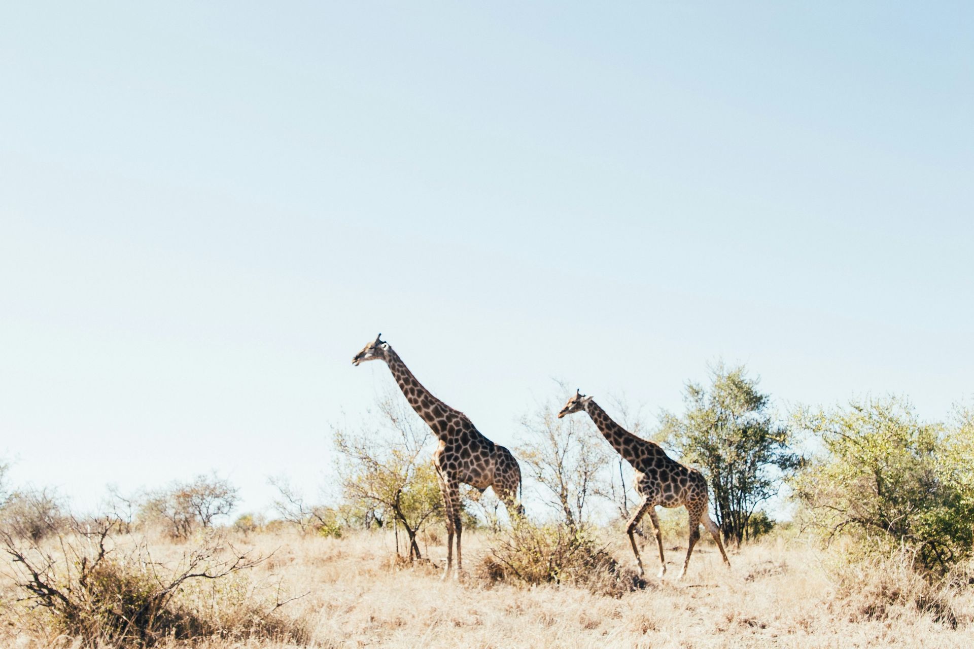 WhirlAway Travel - Philadelphia Based Luxury Travel Advisors