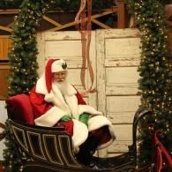 Santa seated in a sleigh beside a decorated Christmas tree and rustic wooden backdrop