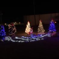 Lit holiday yard display with colorful Christmas trees and white ground lights at night