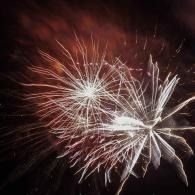 White fireworks bursting against a dark night sky