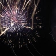 Purple and white fireworks bursting against a dark night sky