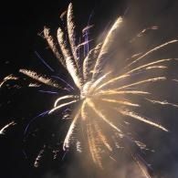 Golden fireworks bursting against a dark night sky